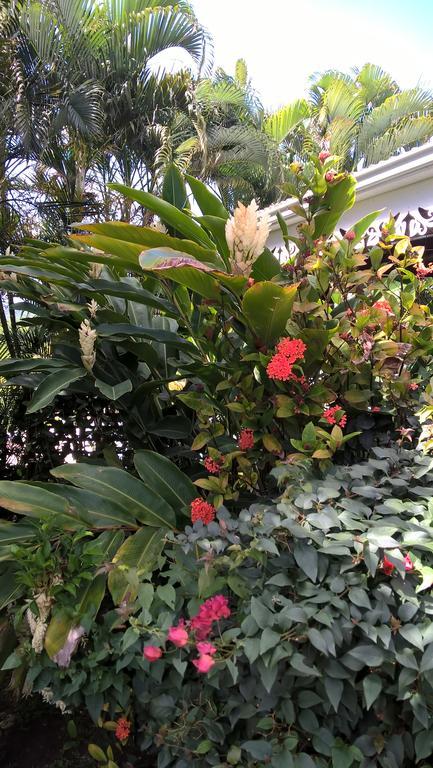 Villa Cap Martinique à Sainte-Anne Extérieur photo
